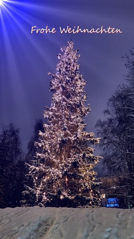 Weihnachtsbaum (c) Bitzer